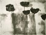 12.Mohnblumen.Aquatinta